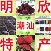 蔡晓欣的一亩田店铺