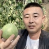 黑山县钮朋飞果蔬合作社的一亩田店铺