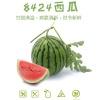 安徽明远果蔬的一亩田店铺