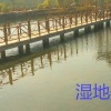 晁玉状的一亩田店铺
