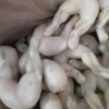 怡家汇品的一亩田店铺
