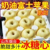 郭晓元的一亩田店铺