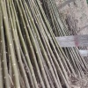 文涛种植合作社的一亩田店铺