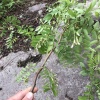 万胜生鲜有限公司的一亩田店铺
