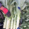 谢松佩的一亩田店铺