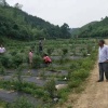 防草布除草布防渗膜水泥毯的一亩田店铺