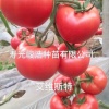 寿光市锦琳农业科技有限公司的一亩田店铺