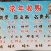 安徽省亳州市聚虫堂药业有限公司的一亩田店铺