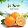 张永峰的一亩田店铺