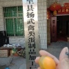 小杨禽蛋加工厂的一亩田店铺