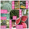 鲜源果蔬的一亩田店铺
