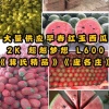 利通农业的一亩田店铺