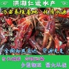 程翠的一亩田店铺