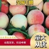 玉玲果品的一亩田店铺