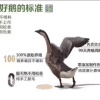 范金祥的一亩田店铺