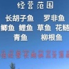 黄秀荣的一亩田店铺