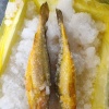 城南阿锋水产品经营部的一亩田店铺