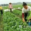 秦冬荣的一亩田店铺