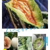 魏胜勇的一亩田店铺