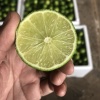 你好的一亩田店铺