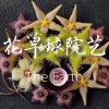 郭跃赐的一亩田店铺