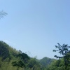 程磊的一亩田店铺