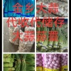 金乡万通蒜业的一亩田店铺