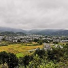 雷大金的一亩田店铺