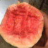 陈相鹏的一亩田店铺