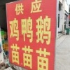 黄富思的一亩田店铺