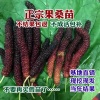 鸿明苗木经营部的一亩田店铺