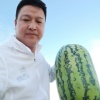 鲜尔惠果业的一亩田店铺