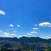 付雪彬的一亩田店铺