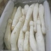 平阴县东阿镇东菇食用菌合作社的一亩田店铺