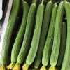 嘉善县徐平果蔬经营部的一亩田店铺