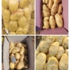 公主岭市秦家屯龙翔种植合作社的一亩田店铺