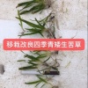 俞雪强的一亩田店铺