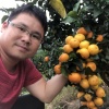 金源果业种植专业合作社的一亩田店铺
