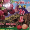 永顺农产品加工场的一亩田店铺
