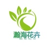青州黄楼宿根草花基地的一亩田店铺