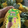 雷顺民的一亩田店铺