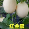 孙海兰的一亩田店铺