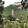 赵光胤的一亩田店铺