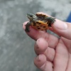 梁永乐的一亩田店铺