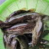 易善波的一亩田店铺