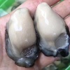 黄丽嫦的一亩田店铺
