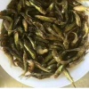 潼南大安镇养殖场的一亩田店铺