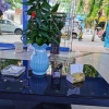 李亚玲的一亩田店铺
