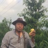 李馨的一亩田店铺
