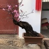 普建旺的一亩田店铺